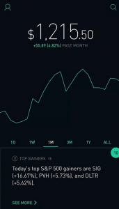 Robinhood Stock Charts