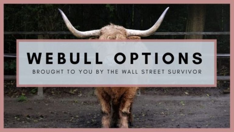 Webull Options