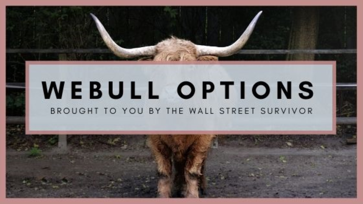 Webull Options - Wall Street Survivor