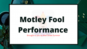 Motley Fool Performance