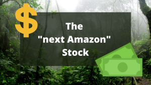 Next-Amazon-Stock