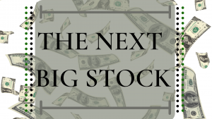 Next Big Stock