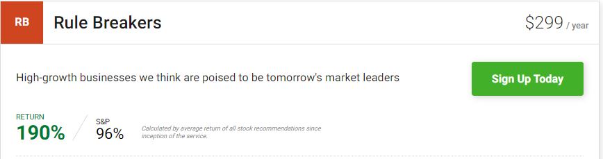 motley fool rule breakers performance