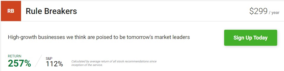Motley Fool Rule Breakers Performance