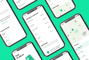 Robinhood Cash Management