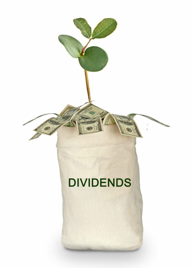 Long Term Investors Dividends