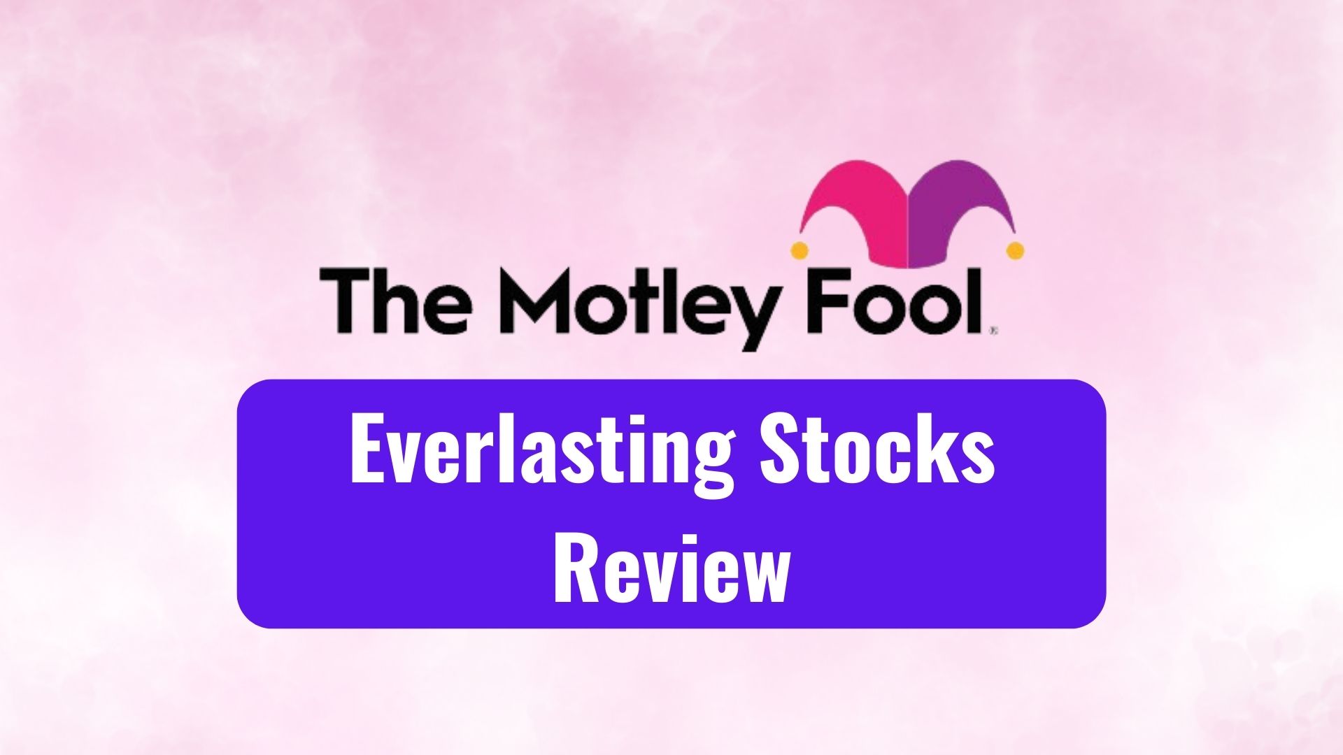 Motley Idiot Eternal Shares Assessment: Is Eternal Shares Price It?