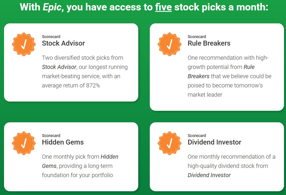 Motley Fool Epic Stock Service description