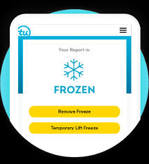 TransUnion Credit Lock Feature