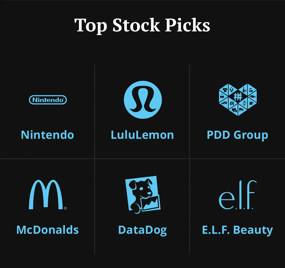 Stock pick outlines