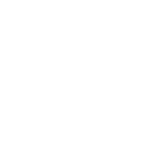 WallStreetSurvivor W